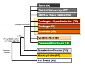 liste-rouge-iucn