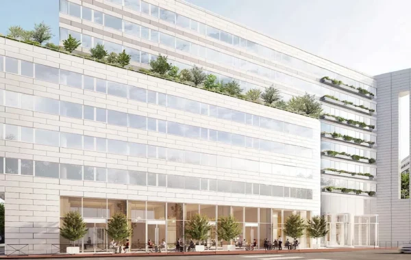 amo environnement renovation